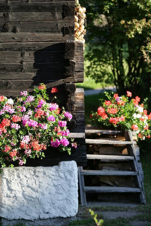 Leebhof Villa Patergassen Kültér fotó